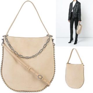 アレキサンダーワン(Alexander Wang)の最終値下げ　18ss Alexander Wang bag(ショルダーバッグ)