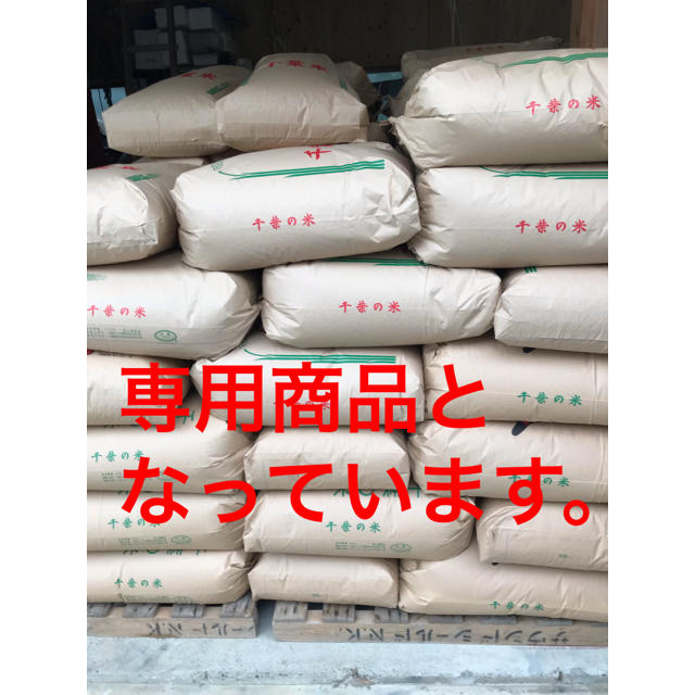注目ブランドのギフト 花shop様専用②一等米コシヒカリ玄米20キロ精米込み 米/穀物 - flaviogimenis.com.br 注目ブランドのギフト 花shop様専用②一等米コシヒカリ玄米20キロ精米込み 米/穀物 - flaviogimenis.com.br