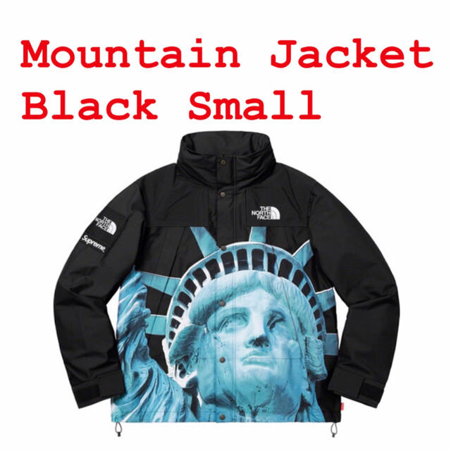 Supreme/The North Face Mountain Jacket