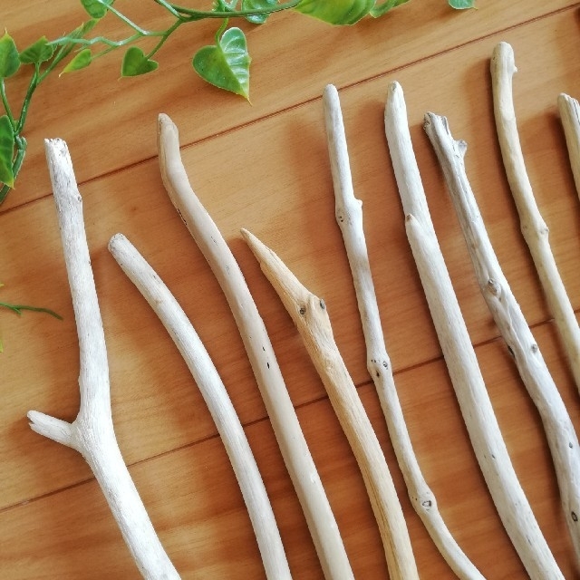 流木12本 by natural wood 's shop|ラクマ 1099円の通販 在庫あ即納