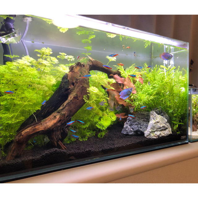 熱販売 水槽ライトスクリーン60cm 45cm 魚用品 水草