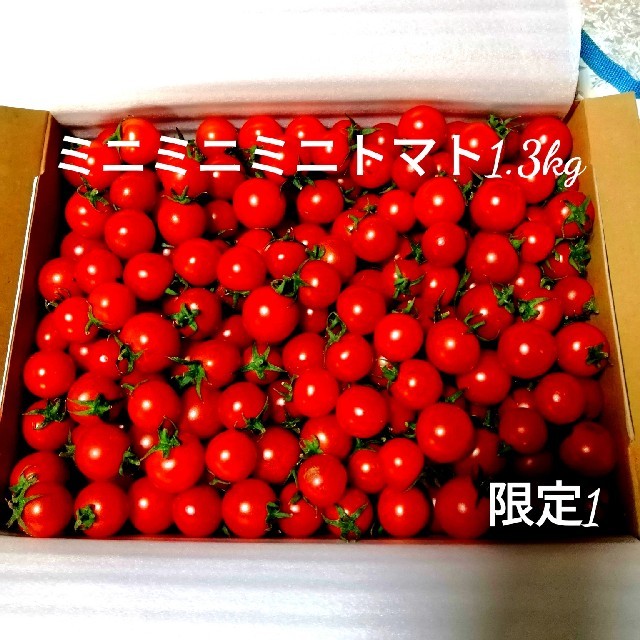 ゆき様専用出品☆ミニトマト1.3Kg 食品/飲料/酒の食品(野菜)の商品写真