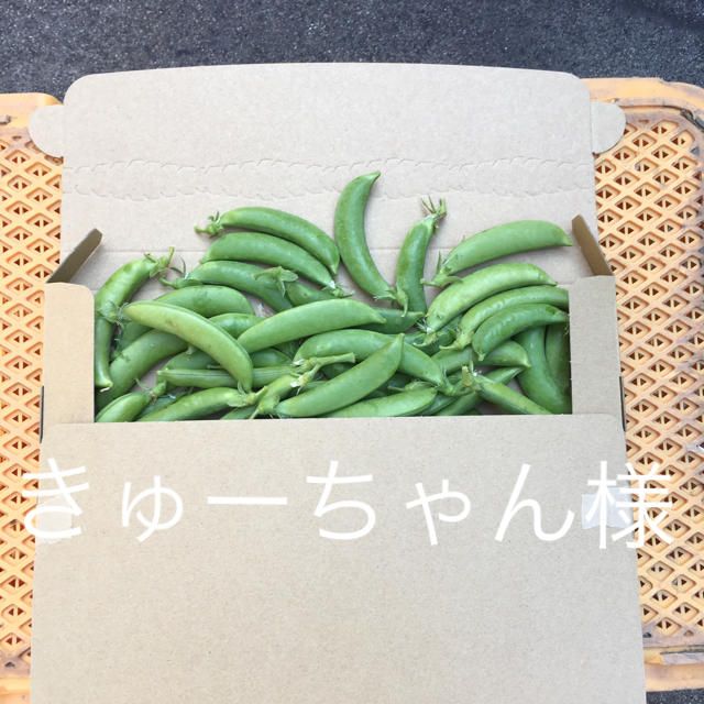 鹿児島産甘スナップエンドウ500g^_^ 食品/飲料/酒の食品(野菜)の商品写真