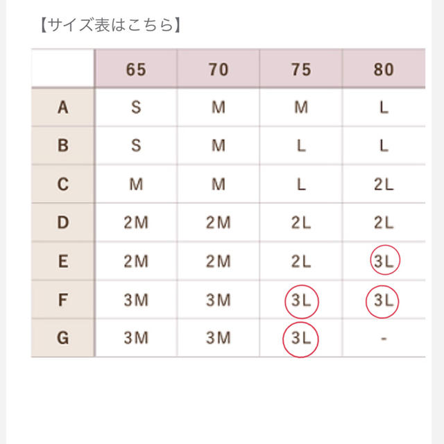 lulukushel 3L ブラック 単品用 レディースの下着/アンダーウェア(ブラ)の商品写真