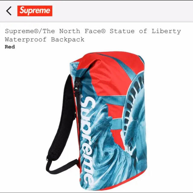 Supreme(シュプリーム)のsupreme/the north face レディースのバッグ(リュック/バックパック)の商品写真