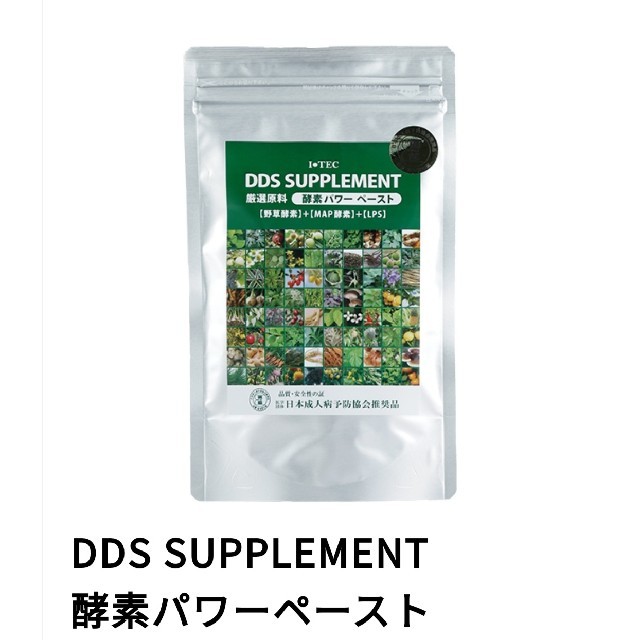 食品/飲料/酒アイテック DDS SUPPLEMENT 酵素パワーペースト