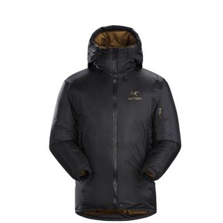 アークテリクス(ARC'TERYX)のArc’teryx Firebee AR Parka ファイヤービー ARパーカ(ダウンジャケット)