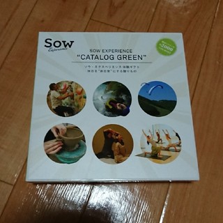sow experience GREEN(その他)