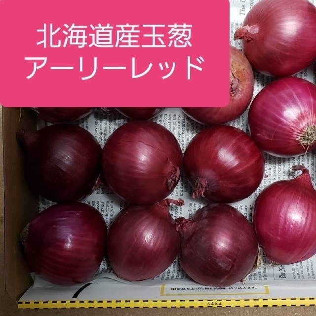 北海道産赤玉葱【アーリーレッド】訳あり品Sサイズ 食品/飲料/酒の食品(野菜)の商品写真