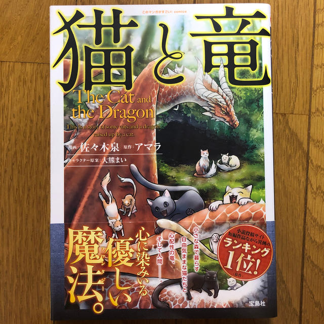 宝島社 猫と竜の通販 By 須佐能乎001 S Shop タカラジマシャならラクマ