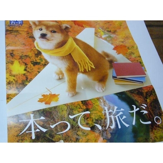 貴重レア B2大 ポスター　図書カード 図書カードNEXT 柴犬 豆柴(印刷物)