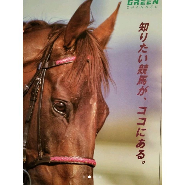 ☆非売品 サクラローレル 年度代表馬 競馬ポスタ- B2 希少 有馬記念