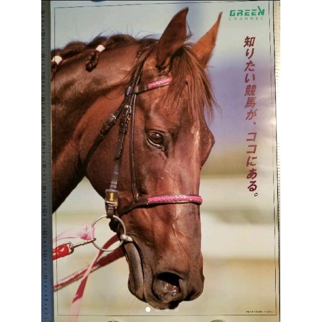 ☆非売品 サクラローレル 年度代表馬 競馬ポスタ- B2 希少 有馬記念