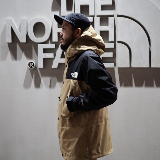 THE NORTH FACE MOUNTAIN LIGHT JACKET