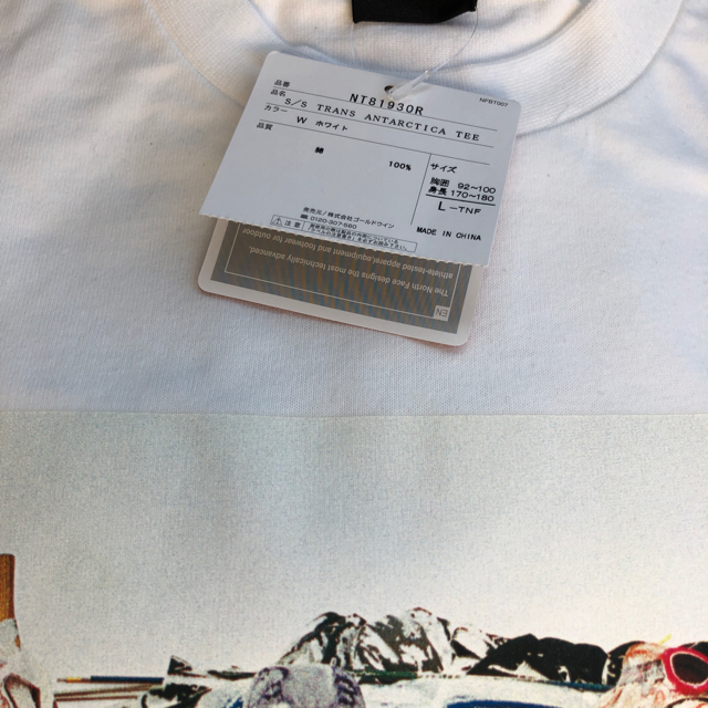 THE NORTH FACE(ザノースフェイス)のS/S Trans Antarctica Tee トランスアンタークティカ  メンズのトップス(Tシャツ/カットソー(半袖/袖なし))の商品写真