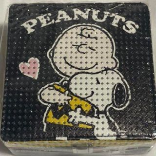 スヌーピー(SNOOPY)の【ポヌーピ様専用】スヌーピー　ジュエリーボックス　小物入れ(小物入れ)