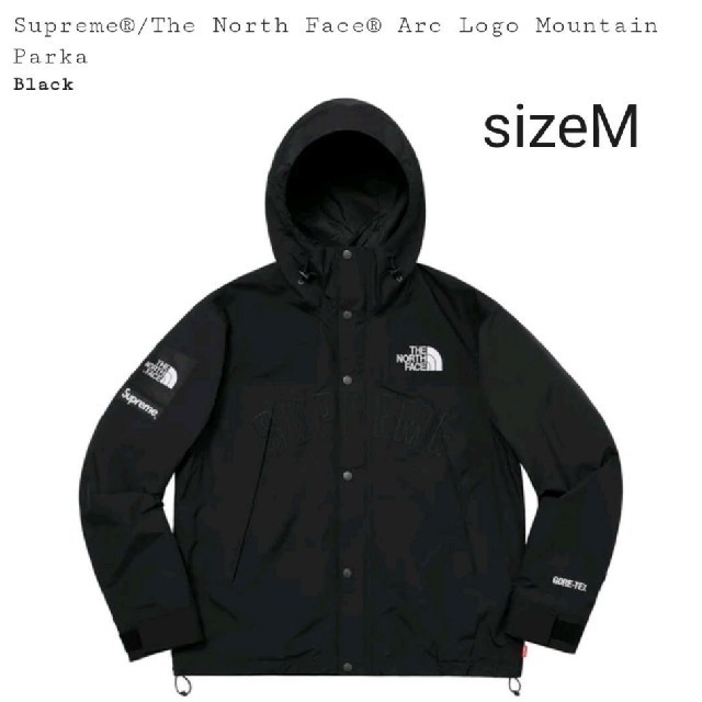 Supreme The North Face Arc Logo Mountain