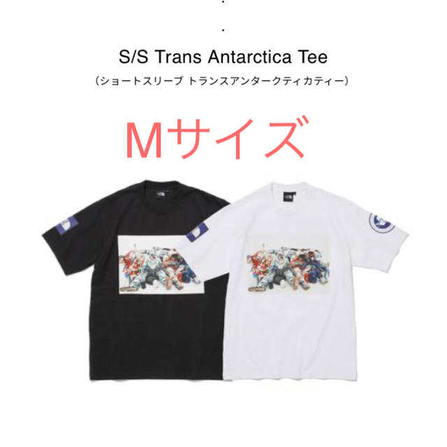 THE NORTH FACE(ザノースフェイス)のTHE NORTH FACE Trans Antarctica Tee Mサイズ メンズのトップス(Tシャツ/カットソー(半袖/袖なし))の商品写真