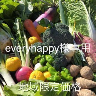 野菜BOX  Mサイズ  everyhappy様専用(野菜)