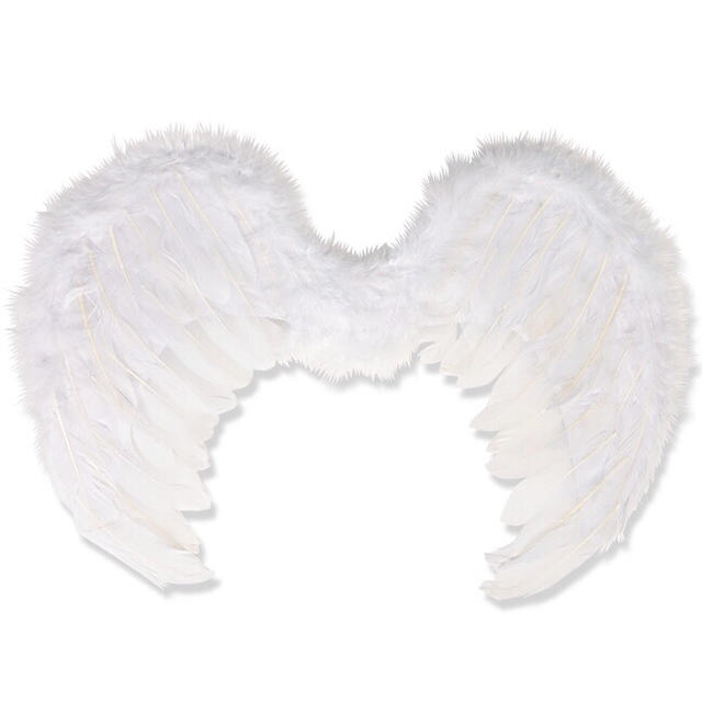 天使の小さな羽 レディースのレディース その他(その他)の商品写真