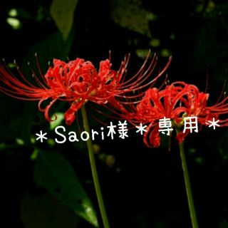 エメフィール(aimer feel)の＊Saori様＊専用＊花柄ショーツ(その他)