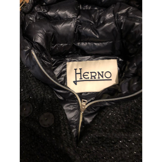 HERNO(ヘルノ)のほぼ未使用 ヘルノ ダウンコート レディースのジャケット/アウター(ダウンコート)の商品写真