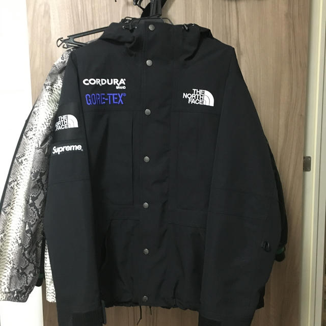 マウンテンパーカーThe North Face Expedition Jacket