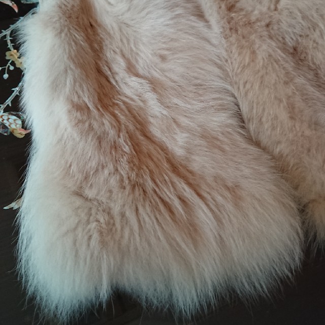 フォックスファー ロングジレ レディースのジャケット/アウター(毛皮/ファーコート)の商品写真