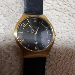 スカーゲン(SKAGEN)のSKAGEN スカーゲン 腕時計(腕時計(アナログ))