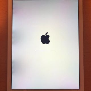 アイパッド(iPad)のiPad Air 2 64GB ゴールド wifiモデル 本体＋カバー(タブレット)