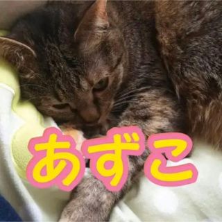 あずこ♡(ピアス)