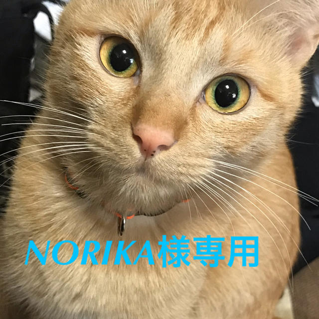 NORIKA様専用ページ その他のその他(その他)の商品写真