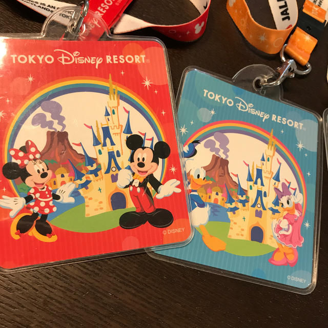 Disney(ディズニー)のディズニー　チケットホルダー エンタメ/ホビーのおもちゃ/ぬいぐるみ(キャラクターグッズ)の商品写真