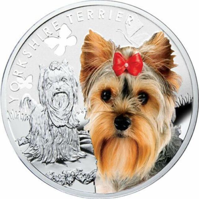 ヨークシャー・テリア 犬シリーズ カラー版 1ドル 銀貨 コイン