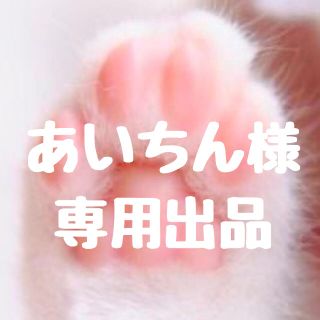 あいちん様専用出品(犬)