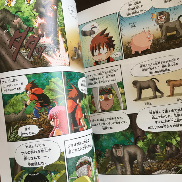 ジャングルのサバイバル 8の通販 by まよびん's shop|ラクマ