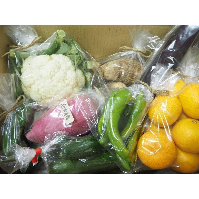 農家直売　野菜詰合せ　80サイズ　送料込み　熊本産 食品/飲料/酒の食品(野菜)の商品写真