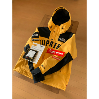 シュプリーム(Supreme)のsupreme the north face mountain parka (マウンテンパーカー)