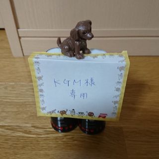 KGM様専用 2本追加分(その他)