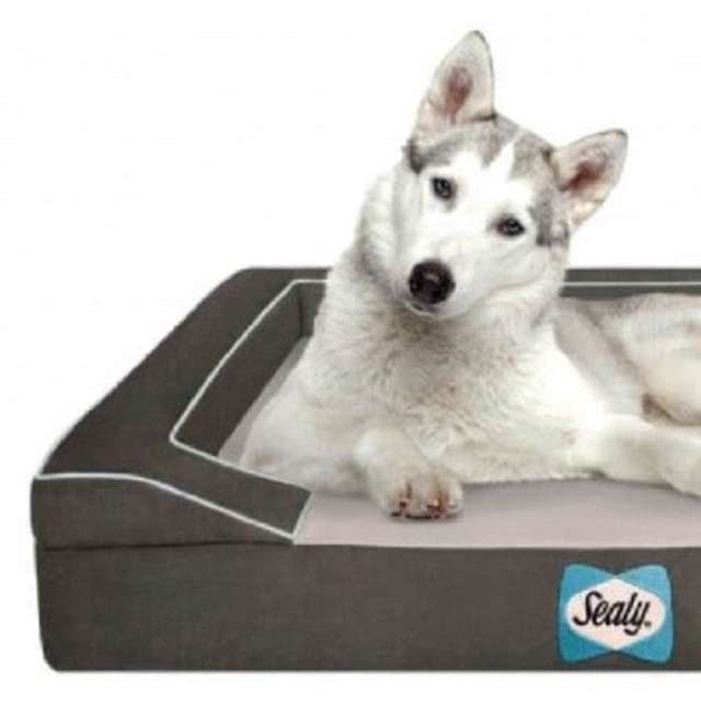 定価37800円 愛犬のための最高級ベッド シーリー(sealy)ドッグベッドS