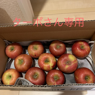 長野県産りんご1級品✨かなり美味しい林檎です✨早い者勝ち❗️(フルーツ)