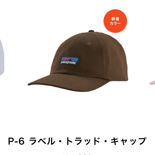 patagonia(パタゴニア)のpatagonia パタゴニア　キャップ メンズの帽子(キャップ)の商品写真