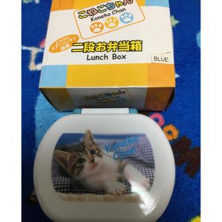 こねこちゃん二段お弁当箱(弁当用品)