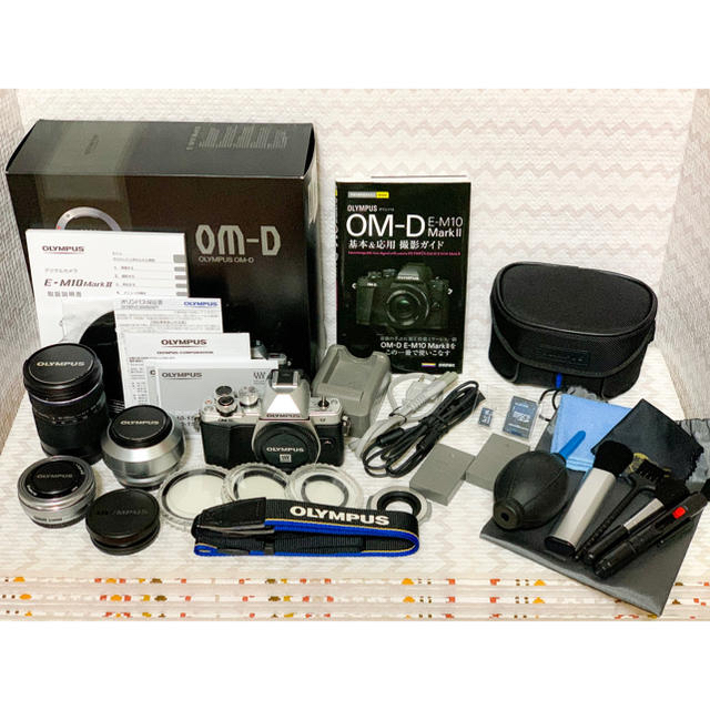 お見舞い OLYMPUS スペシャルセット II Mark E-M10 【⚠️早い者勝ち