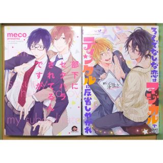 部下にセクハラされてるんですが／meco 2冊セット(ボーイズラブ(BL))