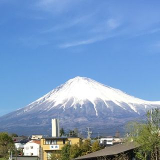 彩菜様専用(その他)