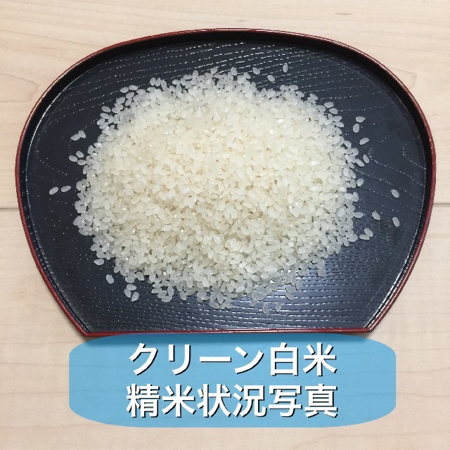 新米 お米18kg 令和元年鳥取県産 ひとめぼれ 《精米》 食品/飲料/酒の食品(米/穀物)の商品写真