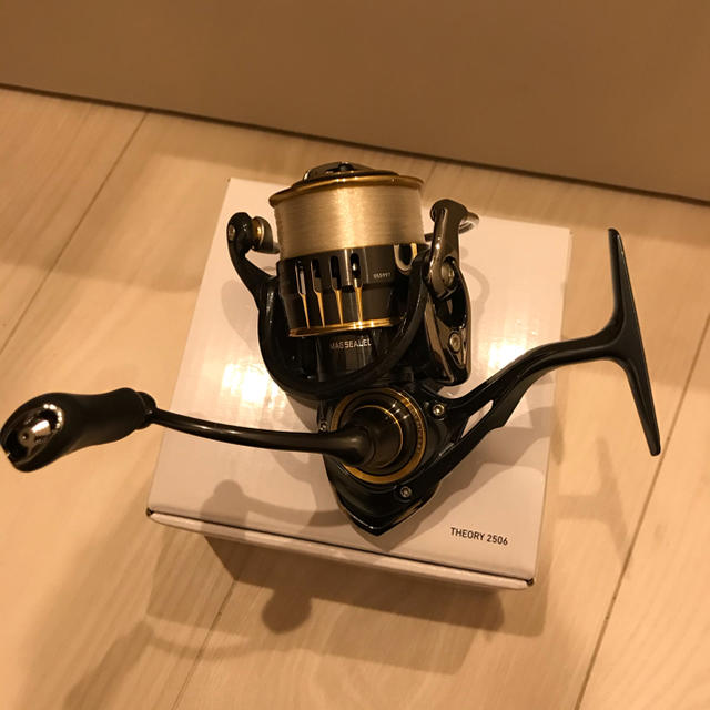 DAIWA THEORY 2506