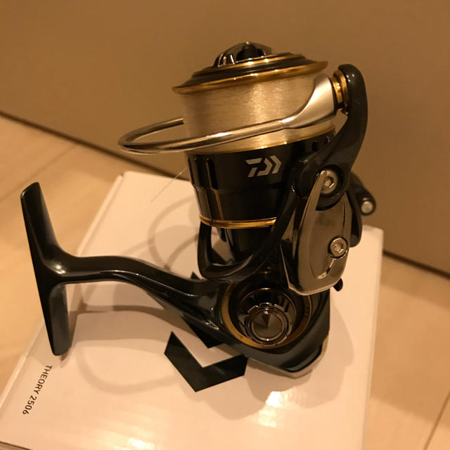 DAIWA THEORY 2506