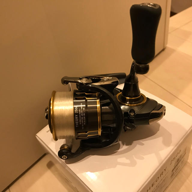 DAIWA THEORY 2506